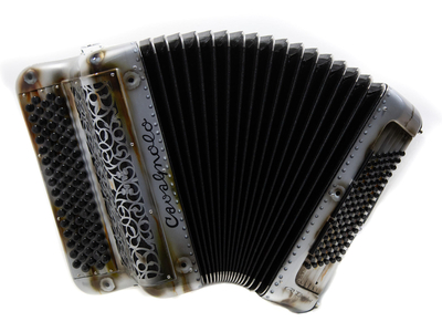 Cavagnolo Orchestre 5 New Tech Carbone Peinture Carlingue