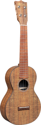 Martin & Co OXK Konzert