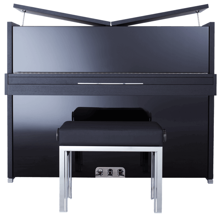 Sauter Concent 122 Peter-Maly-Edition Satin black ash und Gloss-polished black + Adsilent Schalldämpfersystem (Concent 122 Peter-Maly-Edition Satin black ash und Gloss-polished black + Adsilent Schalldämpfersystem) : photo 1