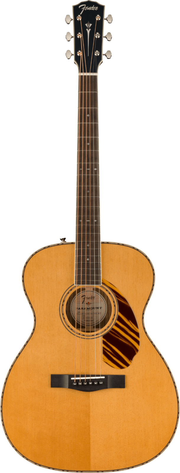 Fender LIMITED EDITION PO-220E ORCHESTRA, AGED NATURAL : photo 1