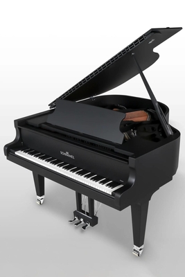 Schimmel C169 Tradition Classic Black Pearl Noir satiné