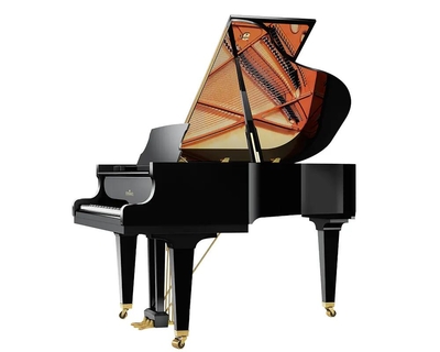 Schimmel C169 Tradition Classic Noir poli-brillant + Système silencieux TwinTone