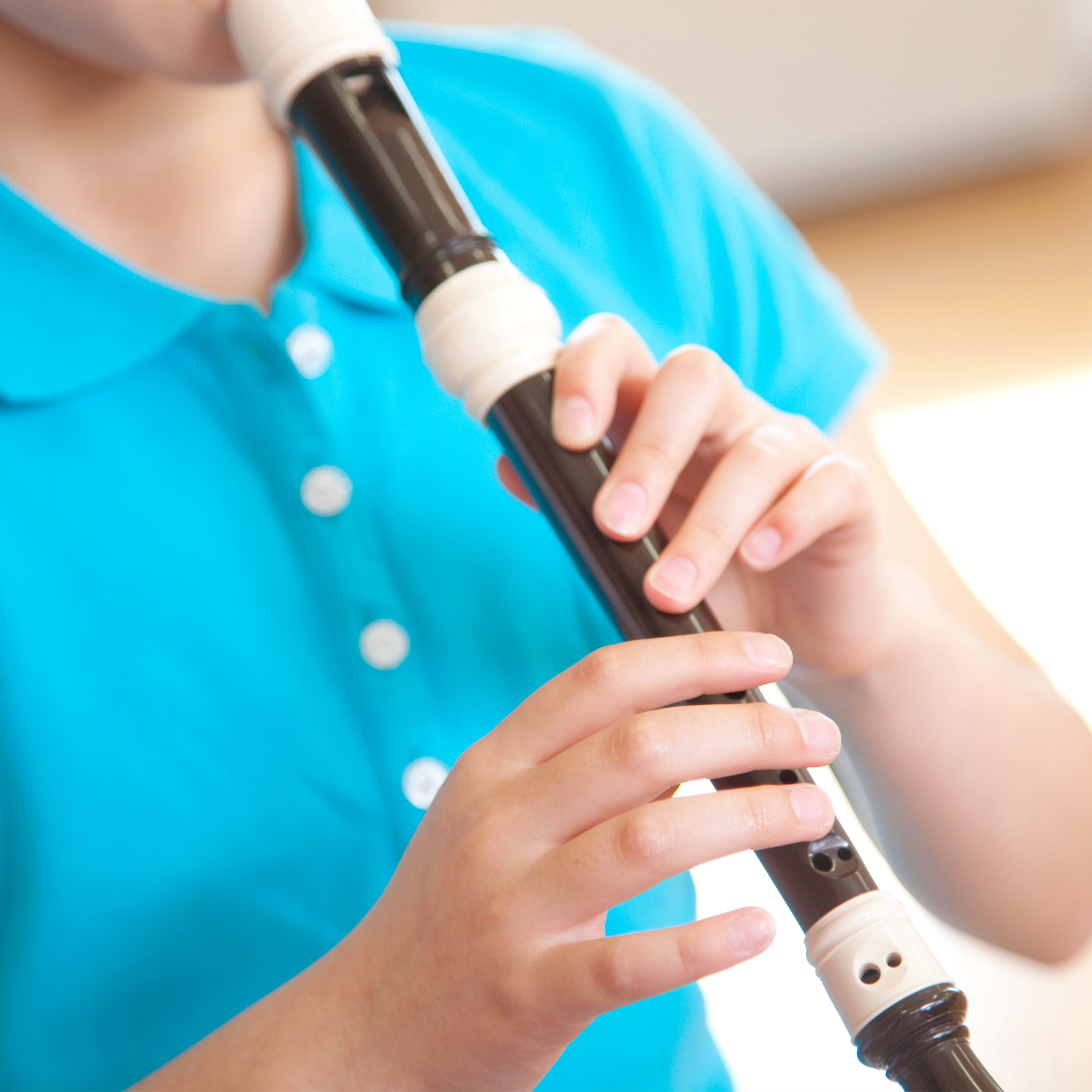 45-minute adult recorder lesson : photo 1