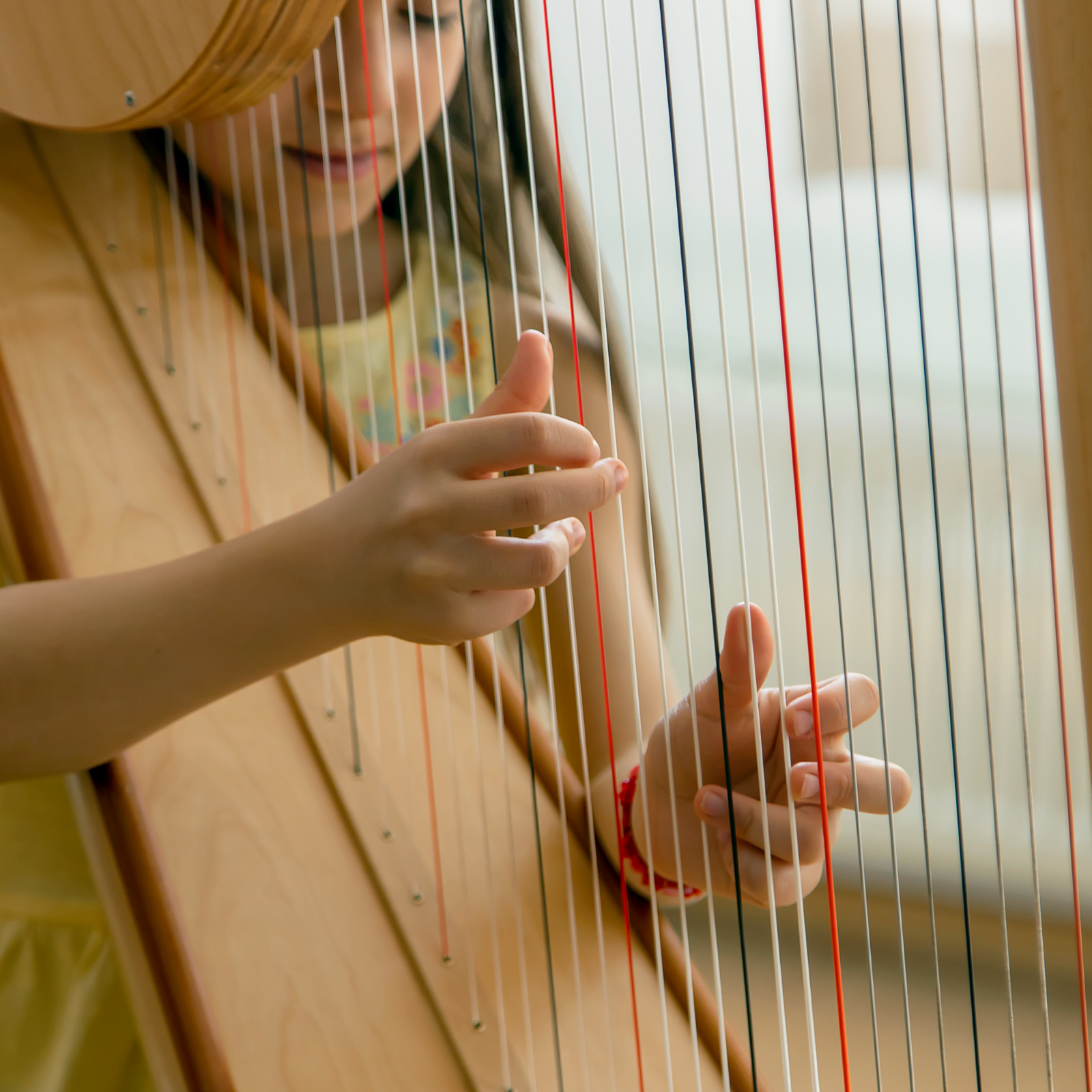 Adult harp lesson 30 minutes : photo 1