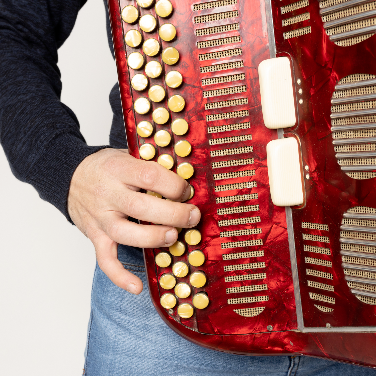 Variety, jazz or classical accordion lessons for adults 30 minutes : photo 1