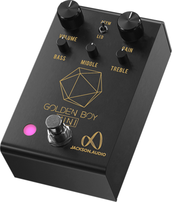 Jackson Audio Golden Boy Mini Black LTD