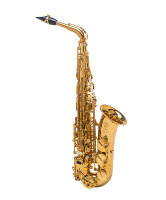 Support Portable Universel pour Saxophone Alto Musical Support Pliable pour  Saxophone Support RéGlable Accessoires pour