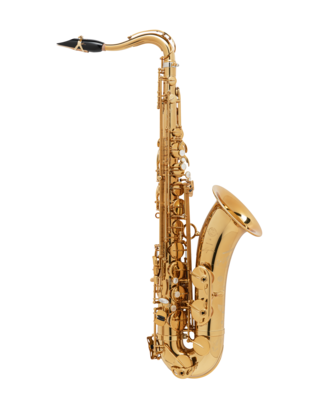 Bec saxophone alto C.Delangle SELMER en stock disponible livraison