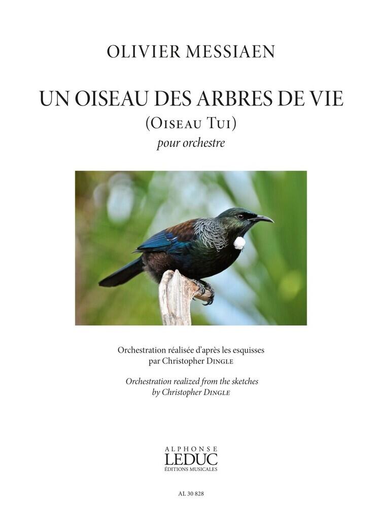 Alphonse Un Oiseau des arbres de Vie (Oiseau Tui) : photo 1