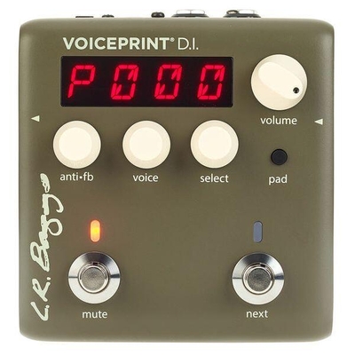 LR Baggs Voiceprint DI