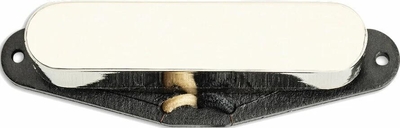 Raw Vintage RV-TE Neck Allen Hinds