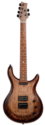 Pralong Guitars Variocaster Relief Nature Burned