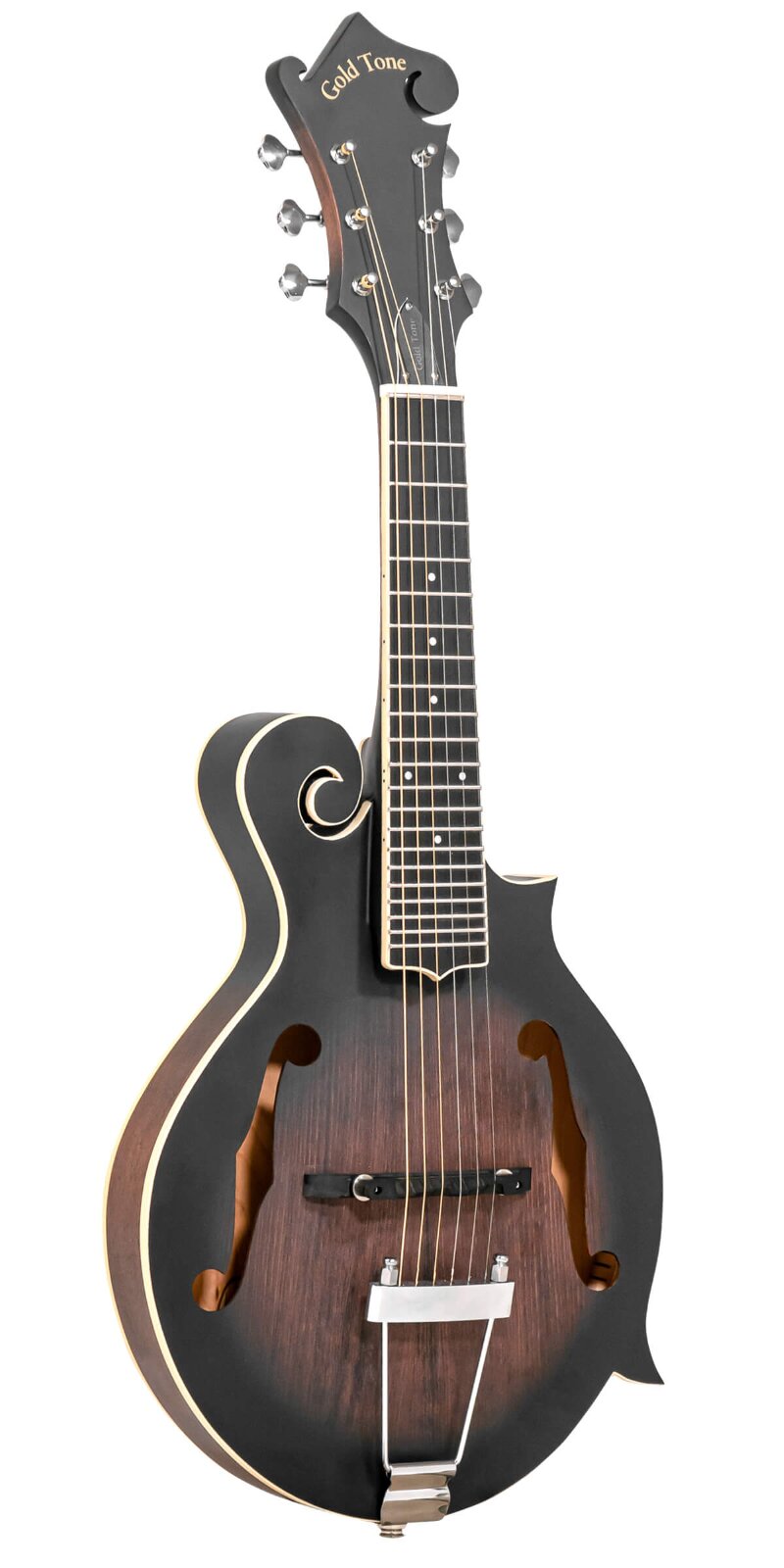 Gold Tone F-6+: F-style Mando-Guitar with Pickup : photo 1