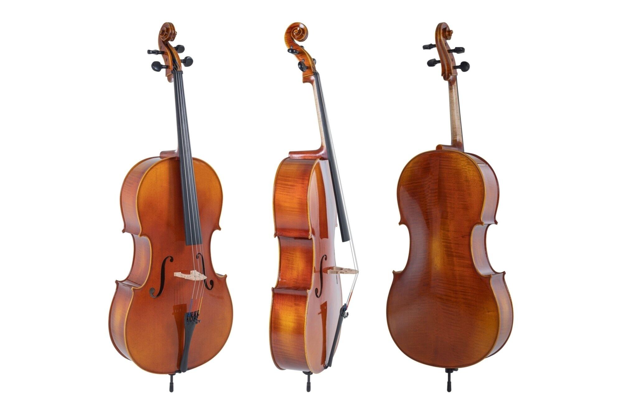 Gewa Maestro 1 4/4 Slightly Flamed Deep Gold-Brown Cello Set (case, massaranduba bow) : photo 1