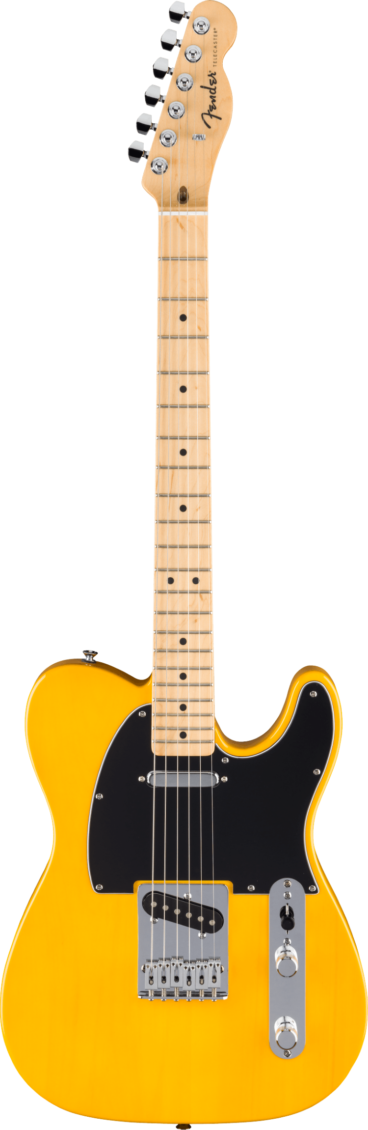 Fender Standard Telecaster, Maple Fingerboard, Black Pickguard, Butterscotch Blonde