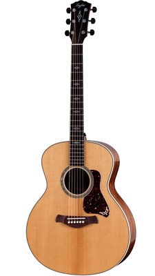 Taylor Gold Label 814th