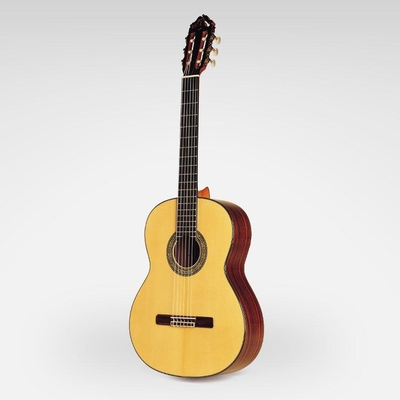 Esteve Professional Series, 12