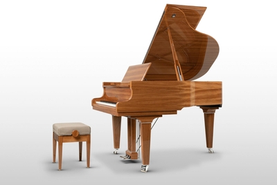 Schimmel C169 Royal Wood Zebrano