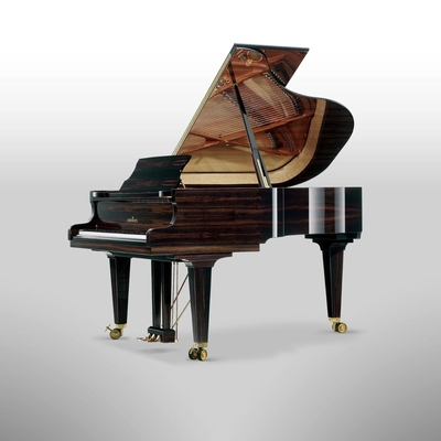 Schimmel C169 Tradition Macassar