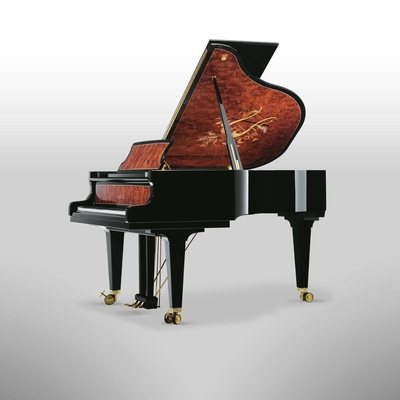 Schimmel K195 Chef-d