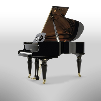 Schimmel K195 Chef-d