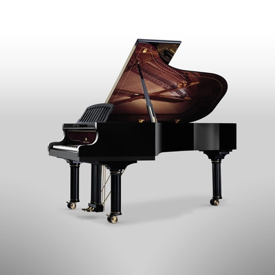 Schimmel K195 Chef-d