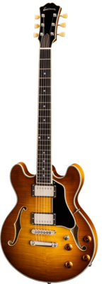 Eastman T484 - Goldburst
