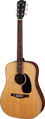 Eastman PCH2-D - Natural