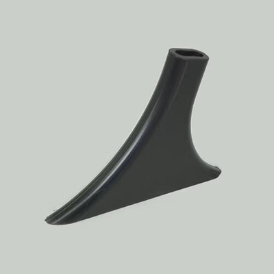 Accordinas Bec Romanelli on the side