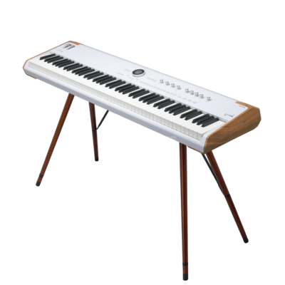 Arturia Astrolab 88 + Wooden Legs + V Collection X