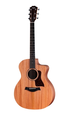 Taylor 24ce