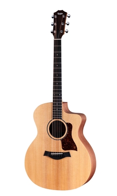 Taylor 14ce