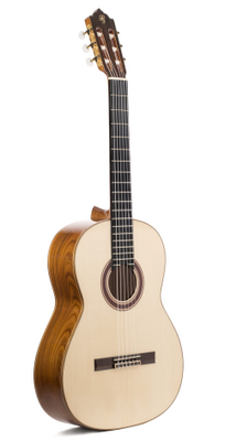 Prudencio Saez Studio Série PS5S, Pau Ferro