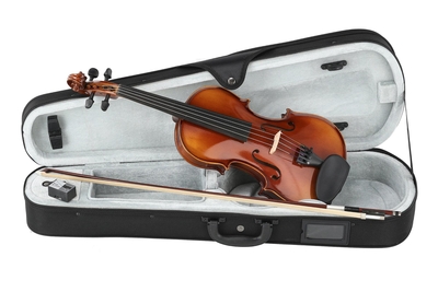 Gewa 100 Anniversary Set violin 3/4 (case, massaranduba bow, Wittner chinrest, Larsen Aurora strings)