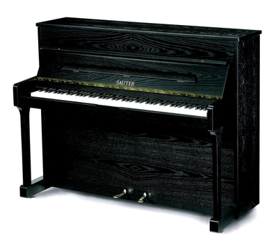 Sauter Carus 112 Ash Satin Black Silent system adsilent Occasion