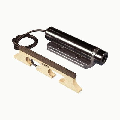 L.R. Baggs Pickup system for banjo