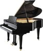Acoustic Grand Pianos
